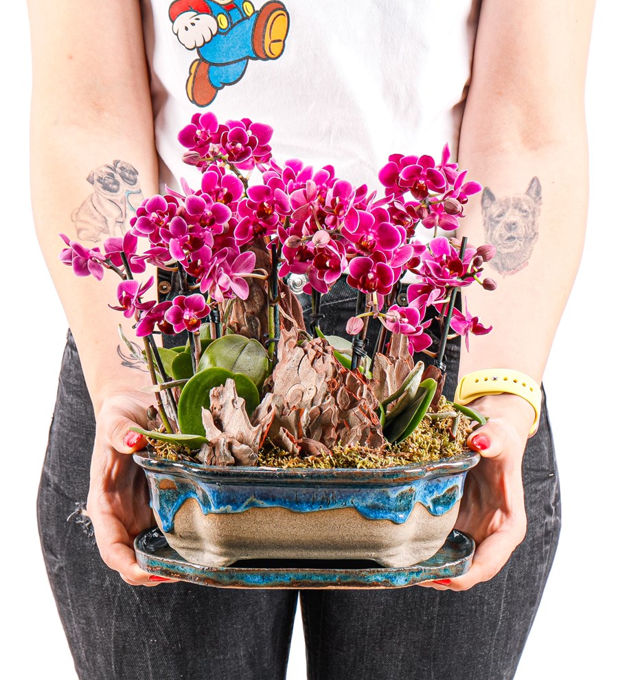Art of Ceramic Series - Mini Mor Orkideler 