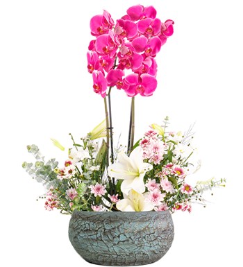 Pembe Orkide - Mix Krizantem ve Lilyum Tasarım Magnificent Serisi 