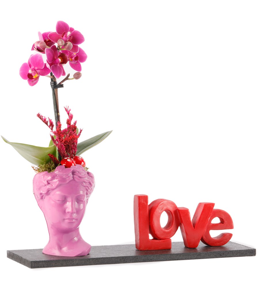 Love Serisi Mini Helen ve Orkide Tasarım