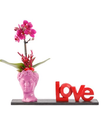 Love Serisi Mini Helen ve Orkide Tasarım