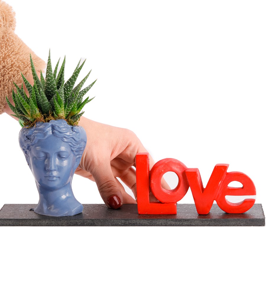 Love Serisi Mini Helen Haworthia Tasarım