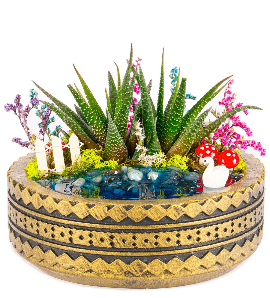 Ring Serisi Göl Kenarında Haworthia Teraryum