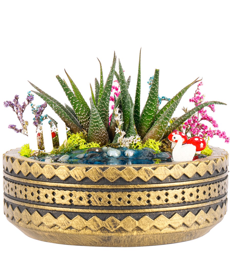Ring Serisi Göl Kenarında Haworthia Teraryum