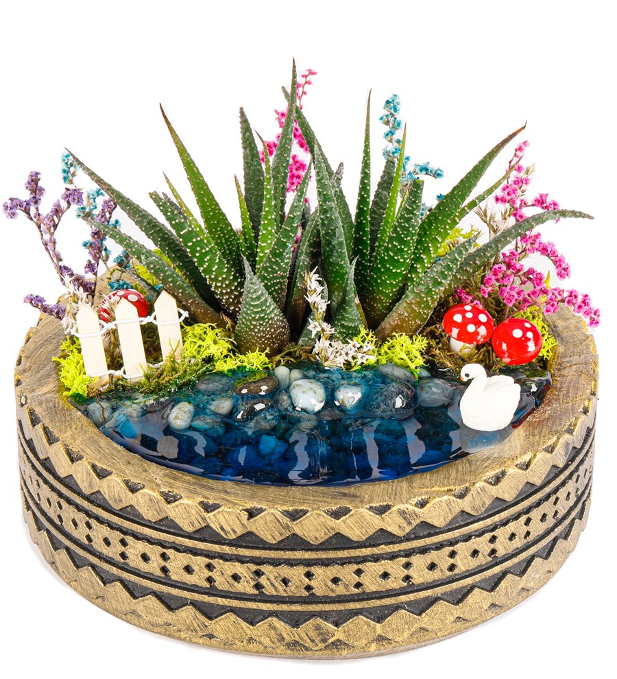 Ring Serisi Göl Kenarında Haworthia Teraryum