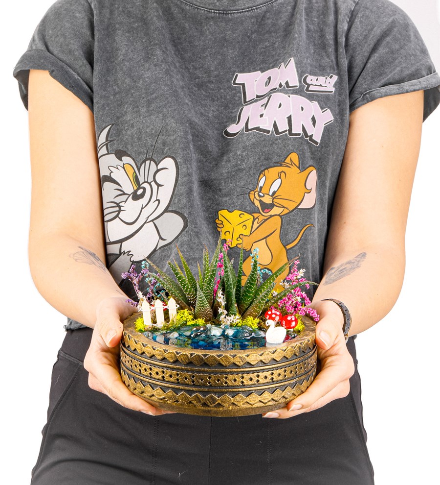 Ring Serisi Göl Kenarında Haworthia Teraryum