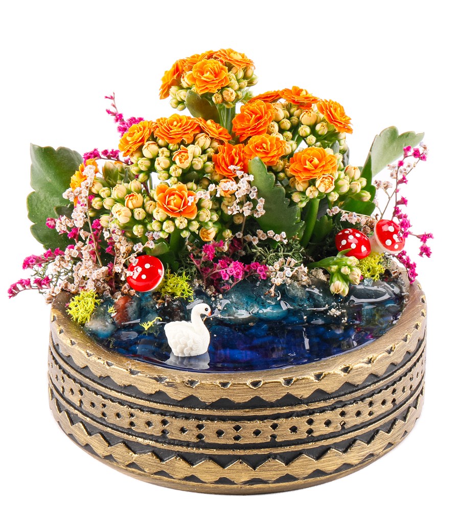 Ring Serisi Göl Kenarında Kalanchoe Teraryum