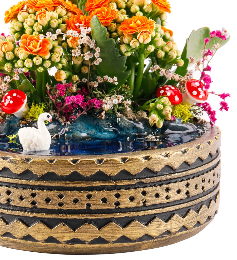 Ring Serisi Göl Kenarında Kalanchoe Teraryum