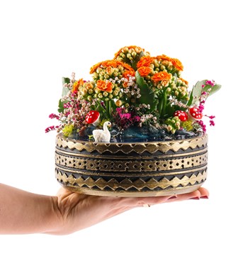 Ring Serisi Göl Kenarında Kalanchoe Teraryum