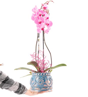 Trevi Barok Serisi Premium İthal 80 cm Çift Dal Mor Orkide Tasarım
