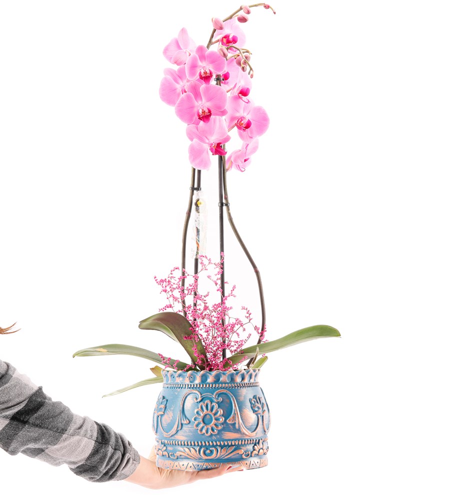 Trevi Barok Serisi Premium İthal 80 cm Çift Dal Mor Orkide Tasarım