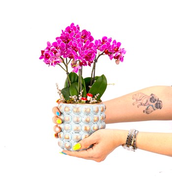 Sweet Candy Serisi 4 Dal Mini Mor Orkide Tasarım 