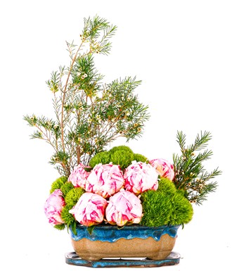 Art of Ceramic Series - Mix Şakayık (Peony) Tasarım 