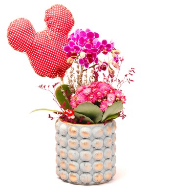 Mickey Mouse Figürlü Sweet Candy Serisi Mini Mor Orkide ve Kalanchoe Tasarım