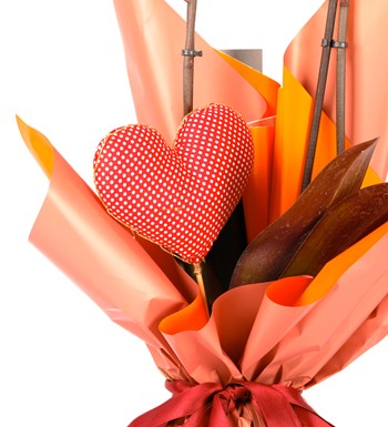 My Heart Serisi 80 cm İthal Mor Orkide Tasarım