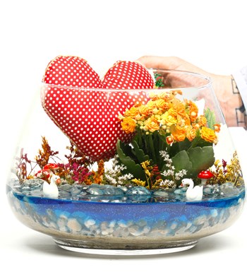 My Heart Serisi Kalanchoe Teraryum