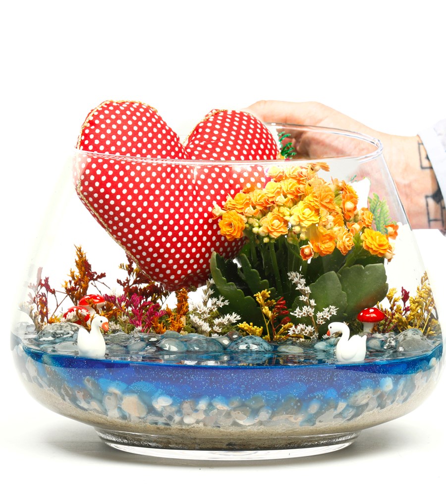 My Heart Serisi Kalanchoe Teraryum