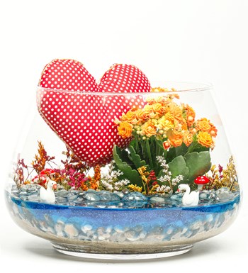 My Heart Serisi Kalanchoe Teraryum