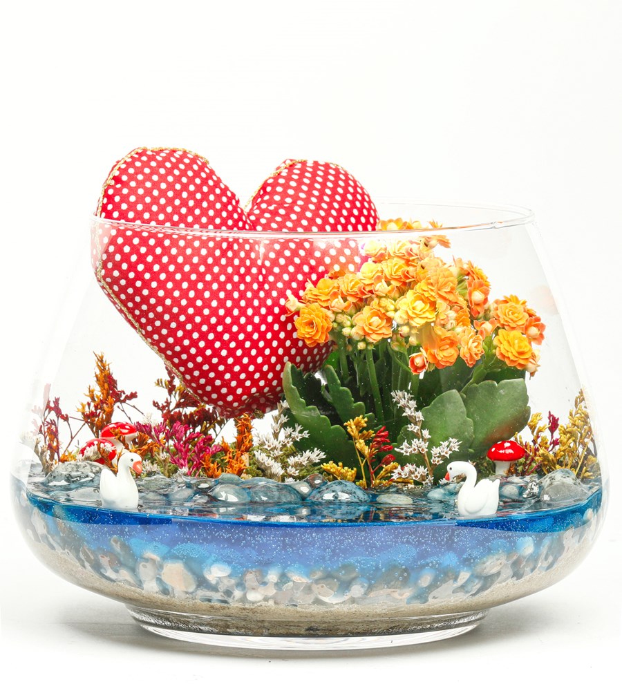 My Heart Serisi Kalanchoe Teraryum
