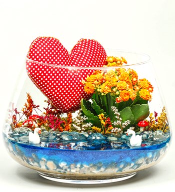 My Heart Serisi Kalanchoe Teraryum