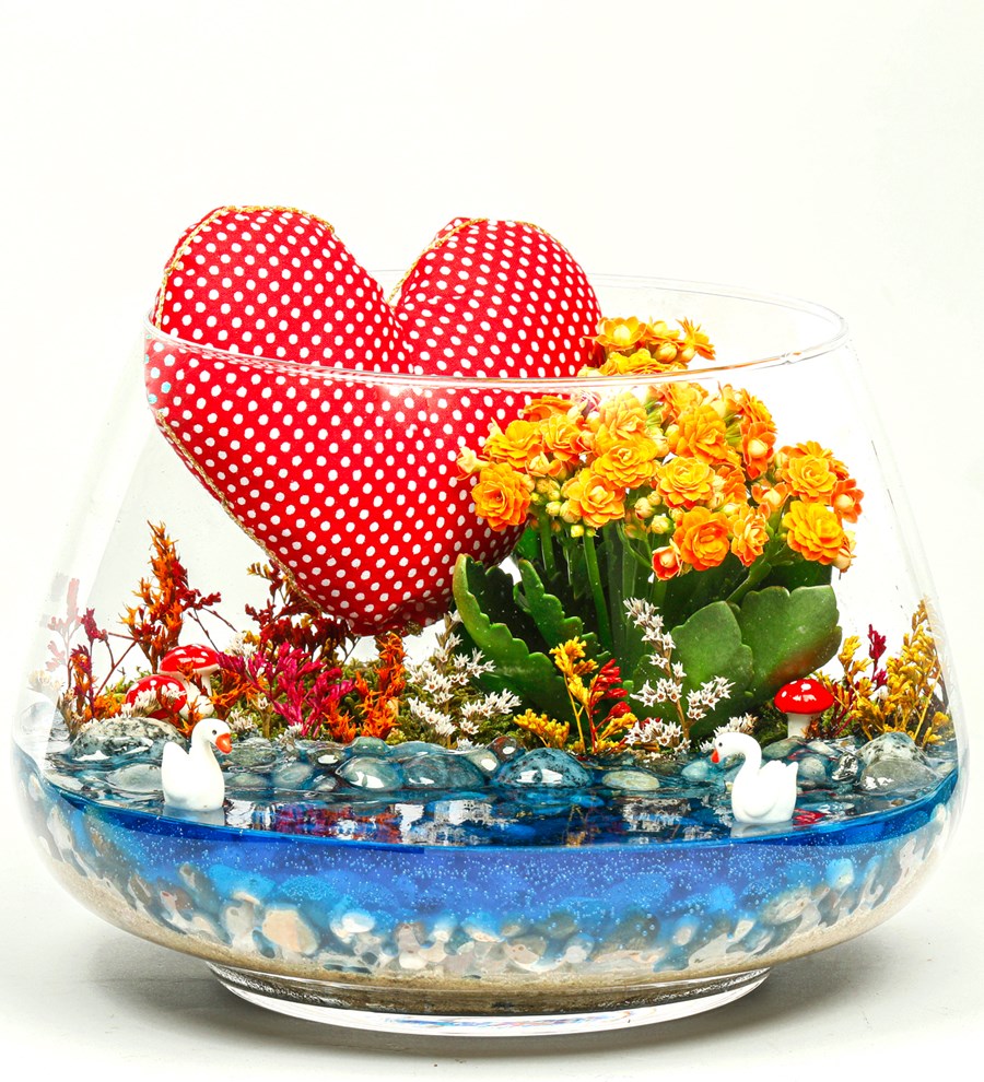 My Heart Serisi Kalanchoe Teraryum