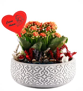 Canım Annem Tabelalı Etnik Serisi Göl Kenarında Kalanchoe Teraryum