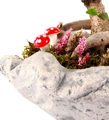 Marineris Serisi Bonsai Teraryum
