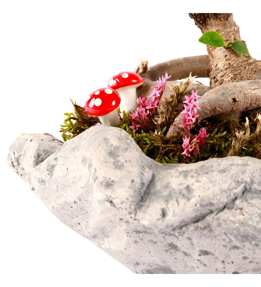 Marineris Serisi Bonsai Teraryum