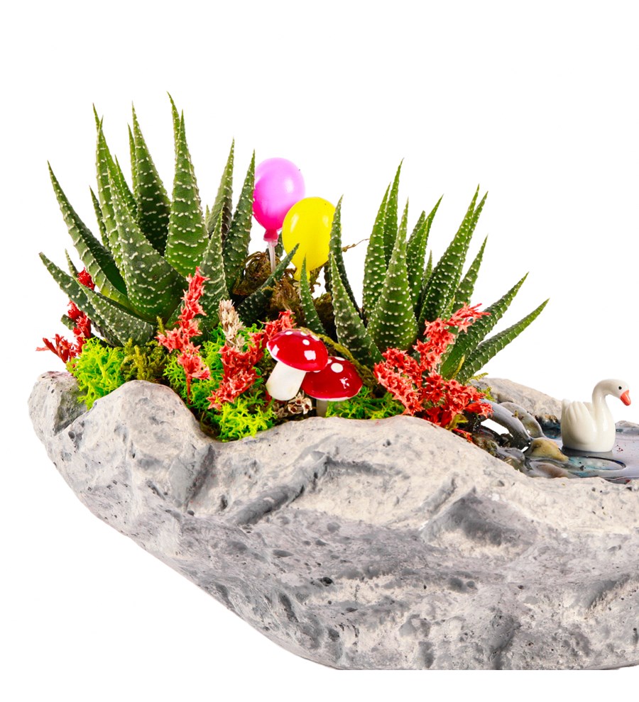 Marineris Serisi Balonlu Haworthia Teraryum