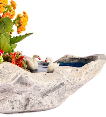 Marineris Serisi Balonlu Kalanchoe Teraryum