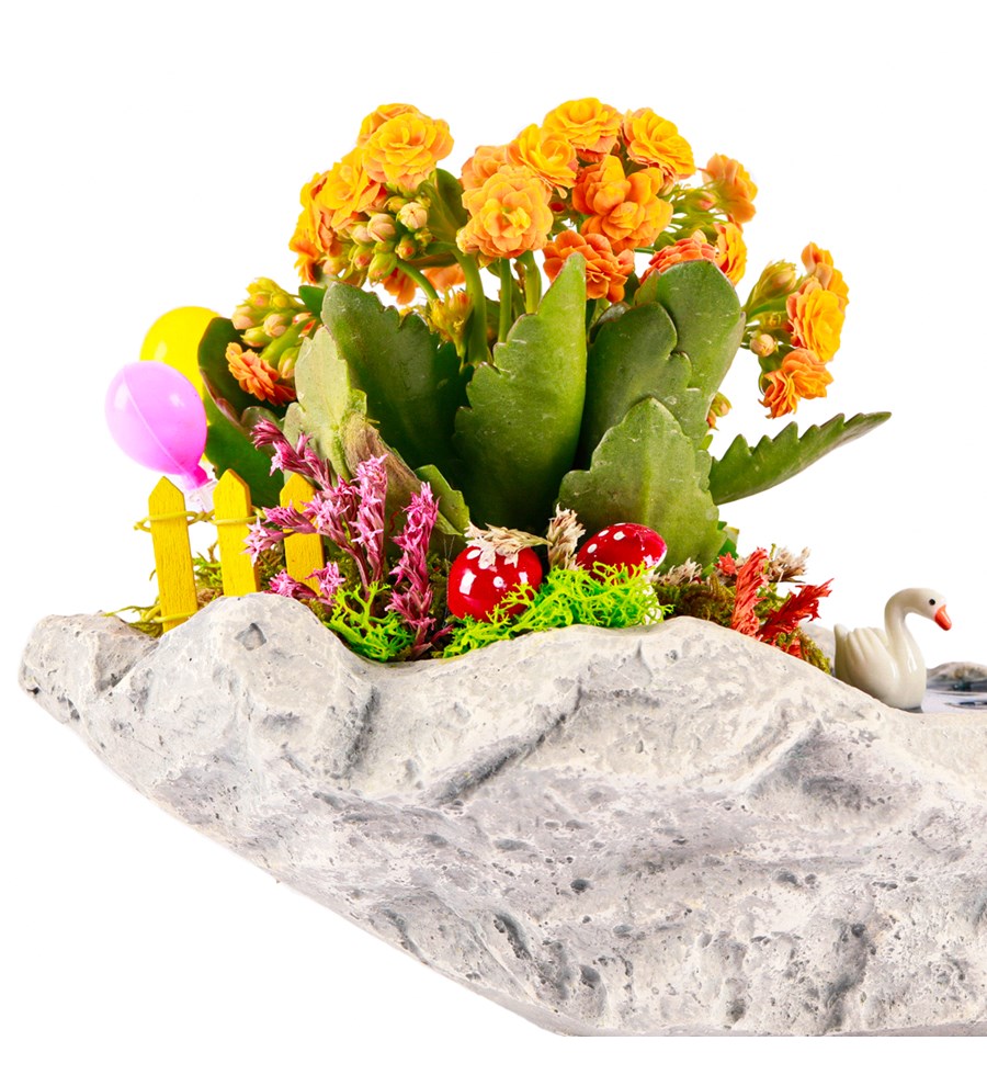 Marineris Serisi Balonlu Kalanchoe Teraryum