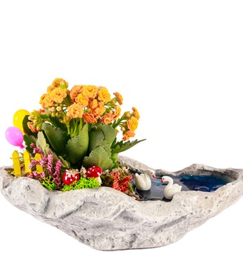 Marineris Serisi Balonlu Kalanchoe Teraryum