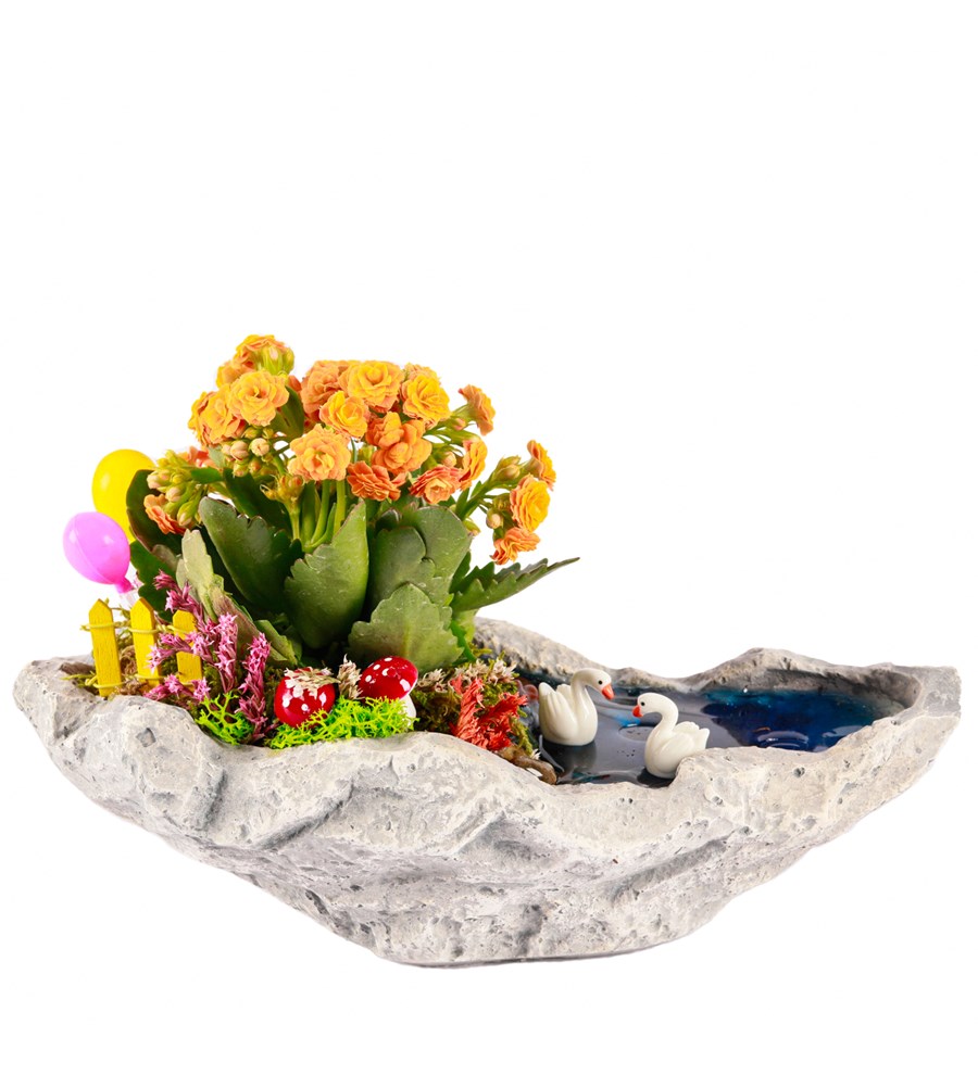 Marineris Serisi Balonlu Kalanchoe Teraryum