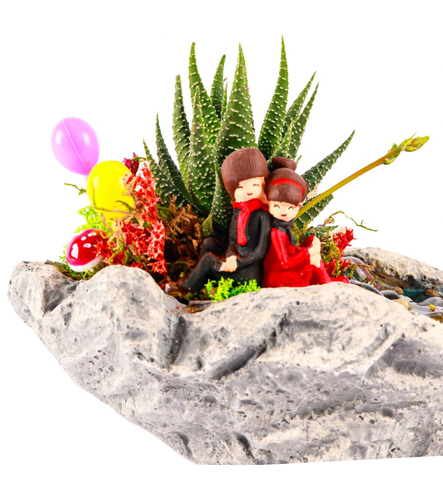 Marineris Serisi Sırt Sırta Balonlu Haworthia Teraryum