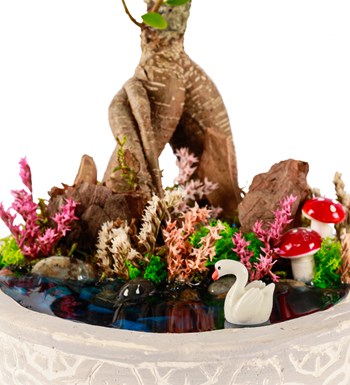 Beton Eskitme Bonsai Teraryum
