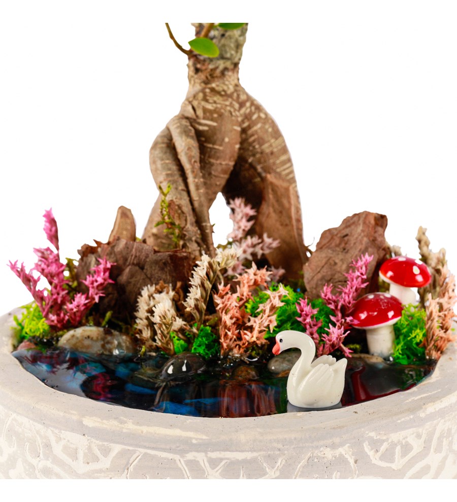 Beton Eskitme Bonsai Teraryum
