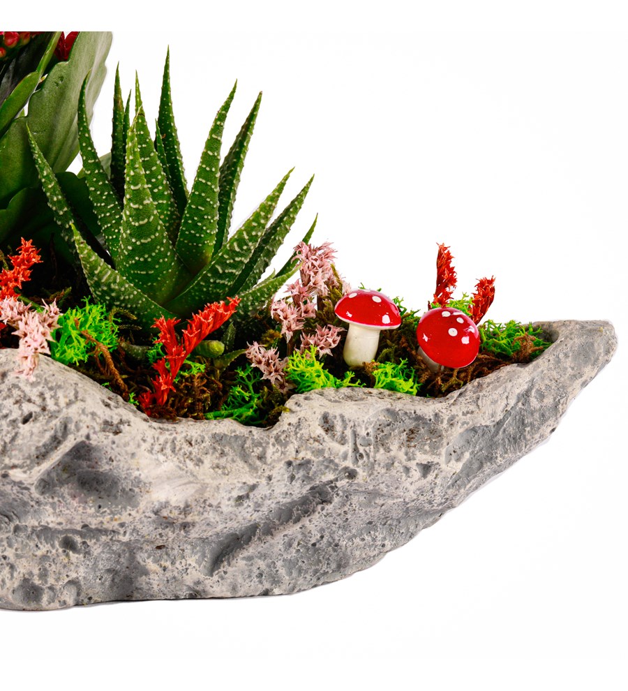 Marineris Serisi Kalanchoe ve Haworthia Tasarım