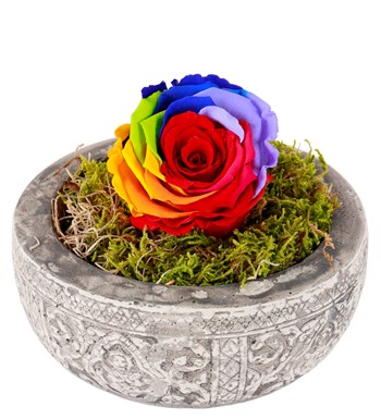 Kayıp Hazineler Serisi Solmayan Gül Dark Rainbow