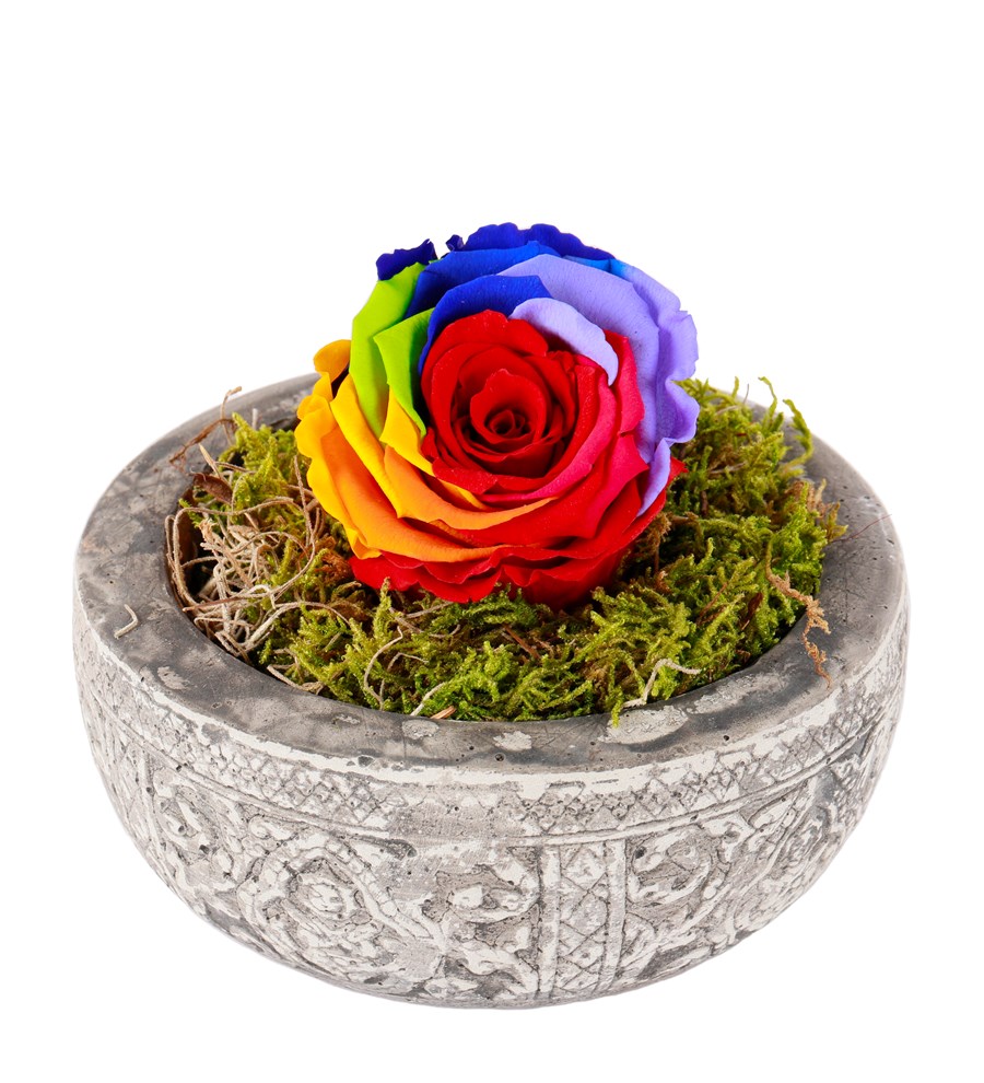 Kayıp Hazineler Serisi Solmayan Gül Dark Rainbow
