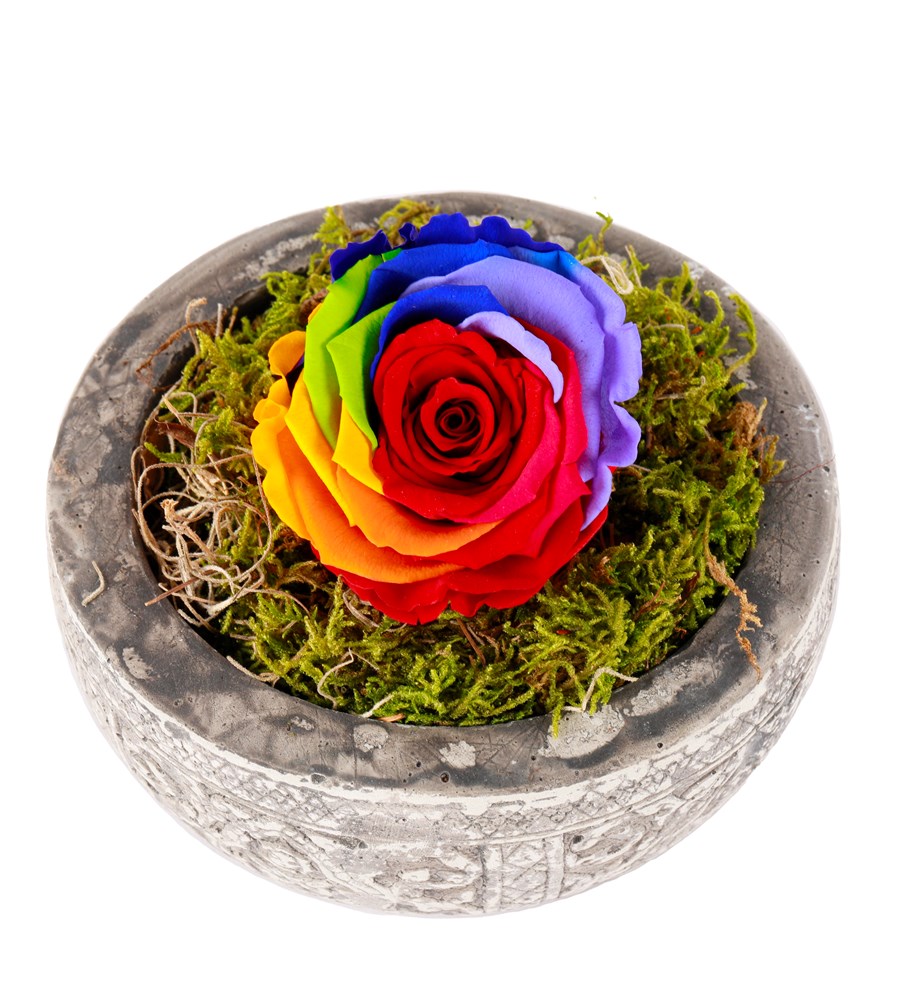 Kayıp Hazineler Serisi Solmayan Gül Dark Rainbow