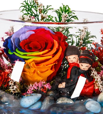 Love Göl Kenarında Dark Rainbow Solmayan Gül Teraryum