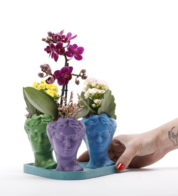 Trio Mini Helen Serisi Mini Orkide ve Kalanchoe Tasarım - Turkuaz Kaide