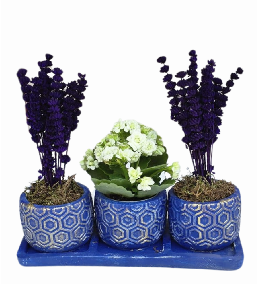 3'lü Mavi Beton Saksıda Kalanchoe Ve Lavanta