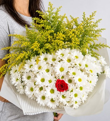 Lilyana Flowers - Antonia