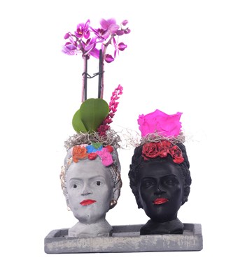 İkili Frida Saksıda Mini Mor Orkide ve Fuşya Solmayan Gül