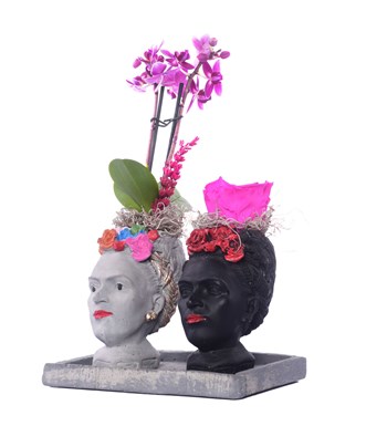 İkili Frida Saksıda Mini Mor Orkide ve Fuşya Solmayan Gül