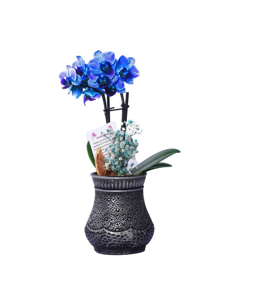 Vase in Ottoman Serisi Mini Mavi Orkide