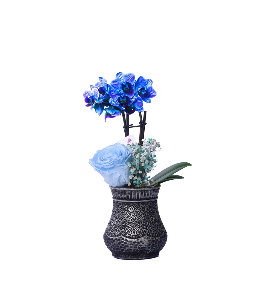 Vase in Ottoman Serisi Mini Mavi Orkide ve Mavi Solmayan Gül Kişiye Özel