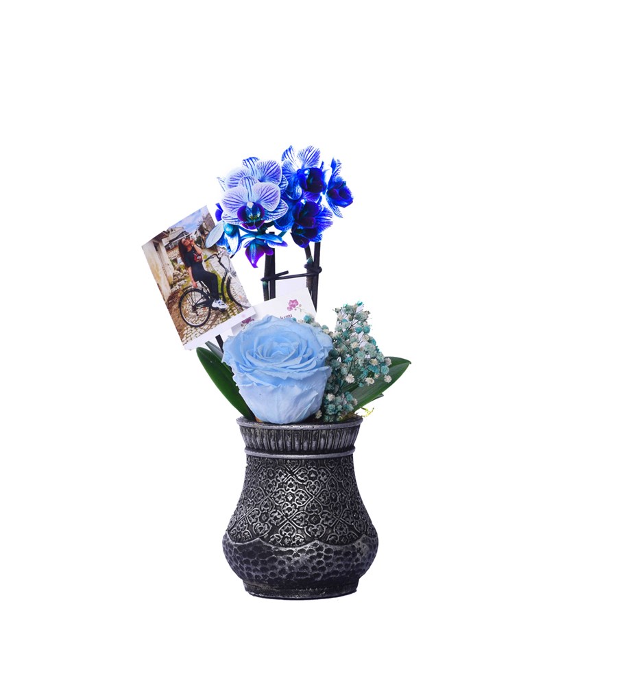 Vase in Ottoman Serisi Mini Mavi Orkide ve Mavi Solmayan Gül Kişiye Özel