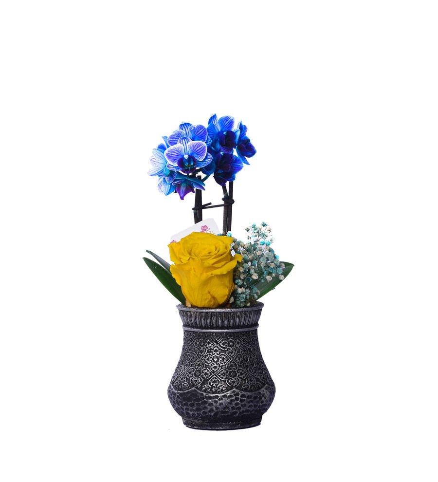 Vase in Ottoman Serisi Mini Mavi Orkide ve Sarı Solmayan Gül