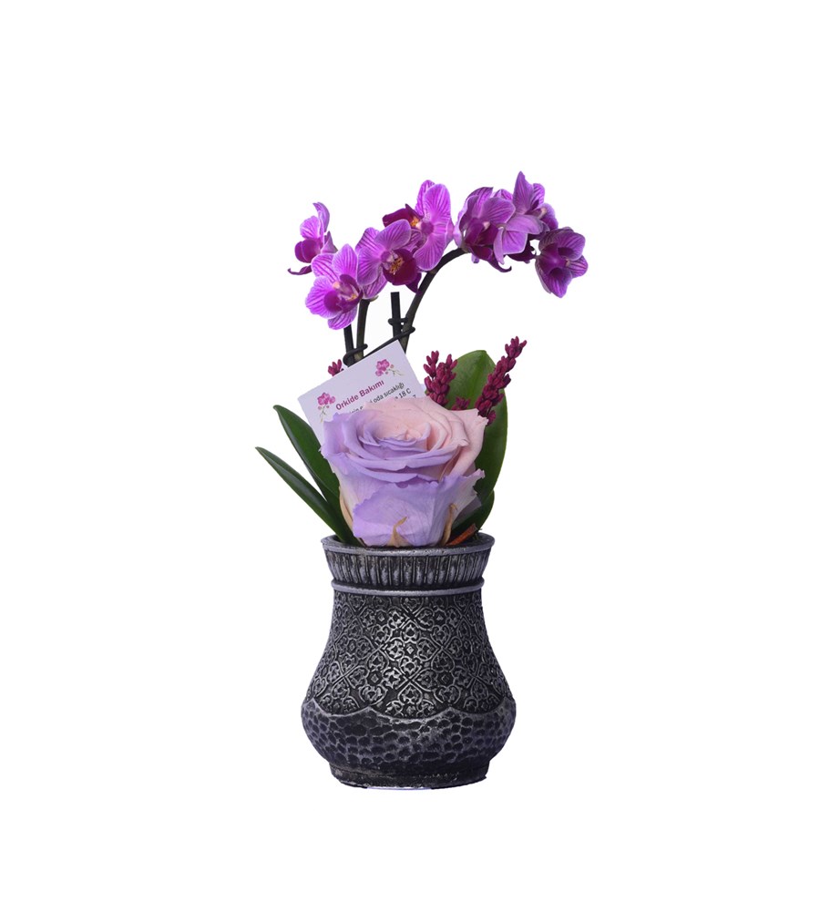 Vase in Ottoman Serisi Mini Mor Orkide ve Pembe Lila Solmayan Gül